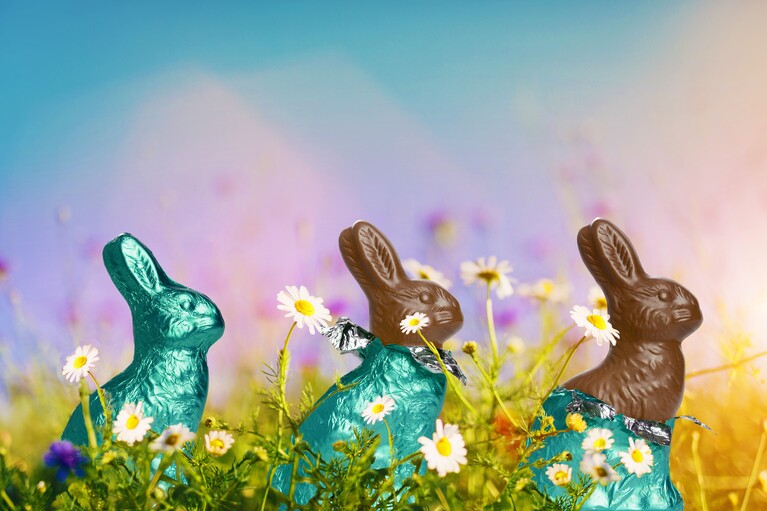 Trois lapins de Pâques en chocolat emballés dans une feuille d'aluminium bleue sont assis dans une prairie avec des marguerites.