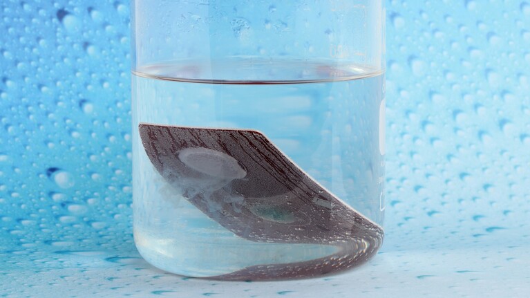 Ein Metallplättchen mit wasserlöslichem Klebstoff in einem mit Wasser gefüllten Glas