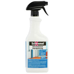 Spray anti-moisissures 500 ml - HORNBACH