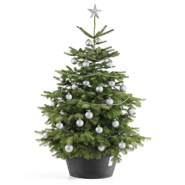 Ecopots Christmas Tree Stand